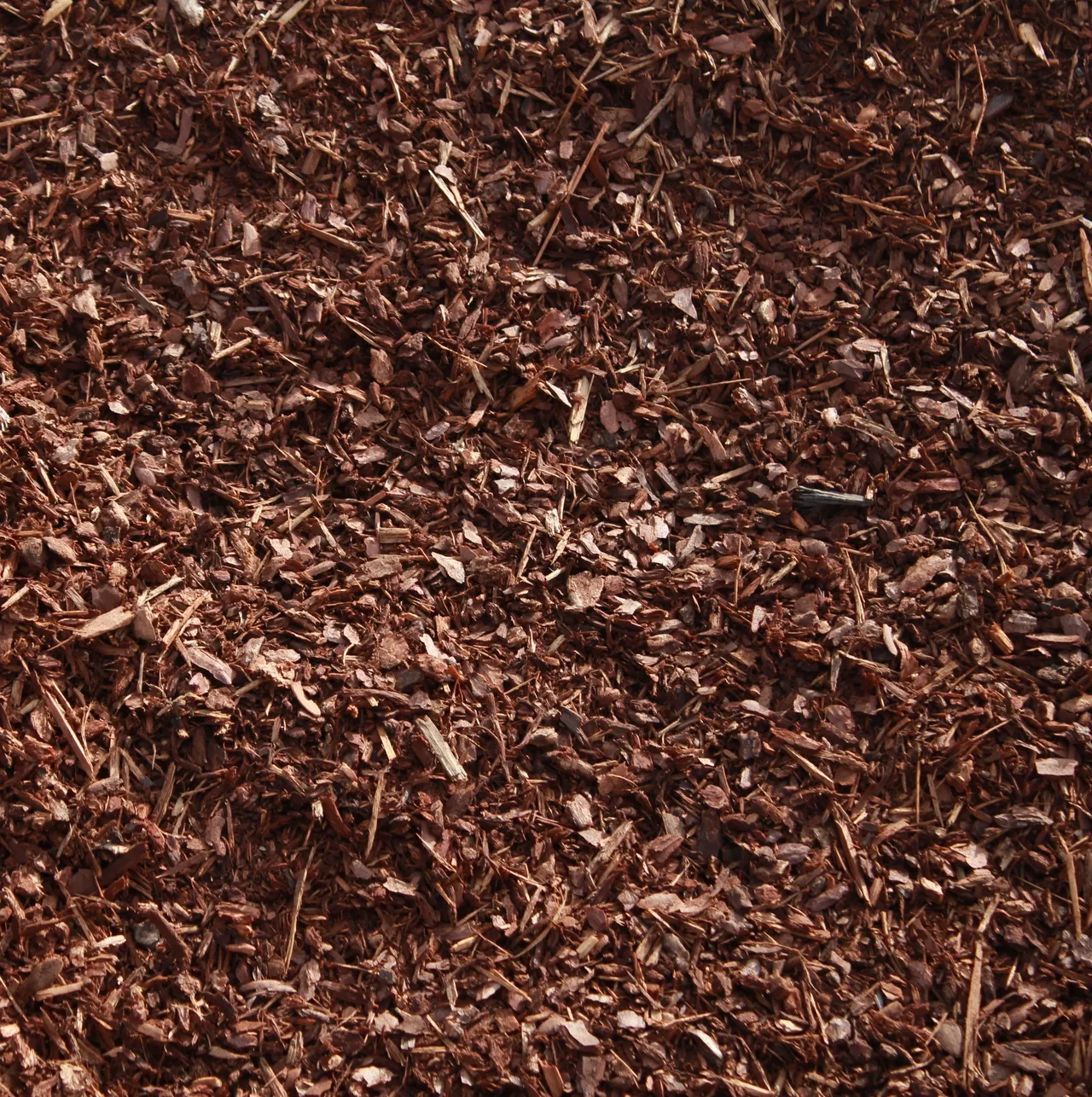 Does Mulch Prevent Weeds? What Homeowners Should Actually Know 