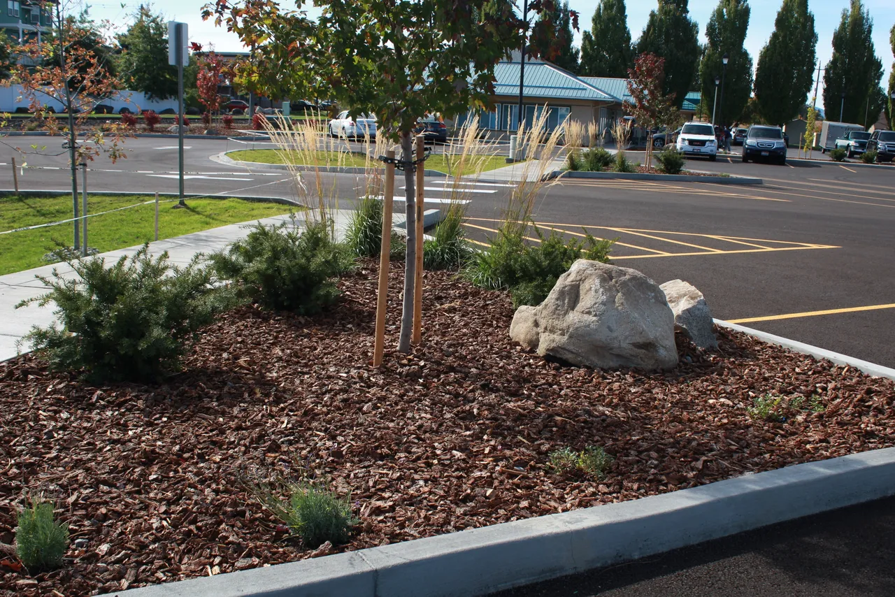 Bark blowing nuggets on a property